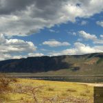 Nakuru's Pink Tide: Timing the Flamingo Spectacle in Kenya's Rift Valley