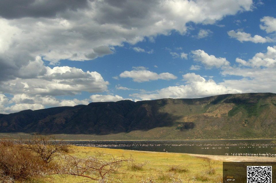 Nakuru's Pink Tide: Timing the Flamingo Spectacle in Kenya's Rift Valley