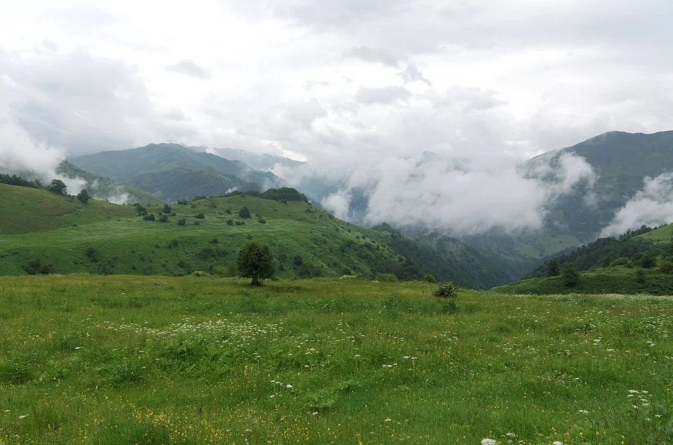 The qvevri: why Georgians bury their wine