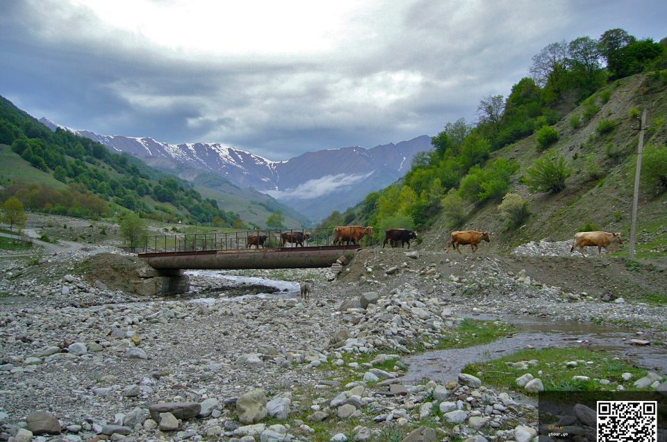 Rtveli: what actually happens at a Georgian harvest