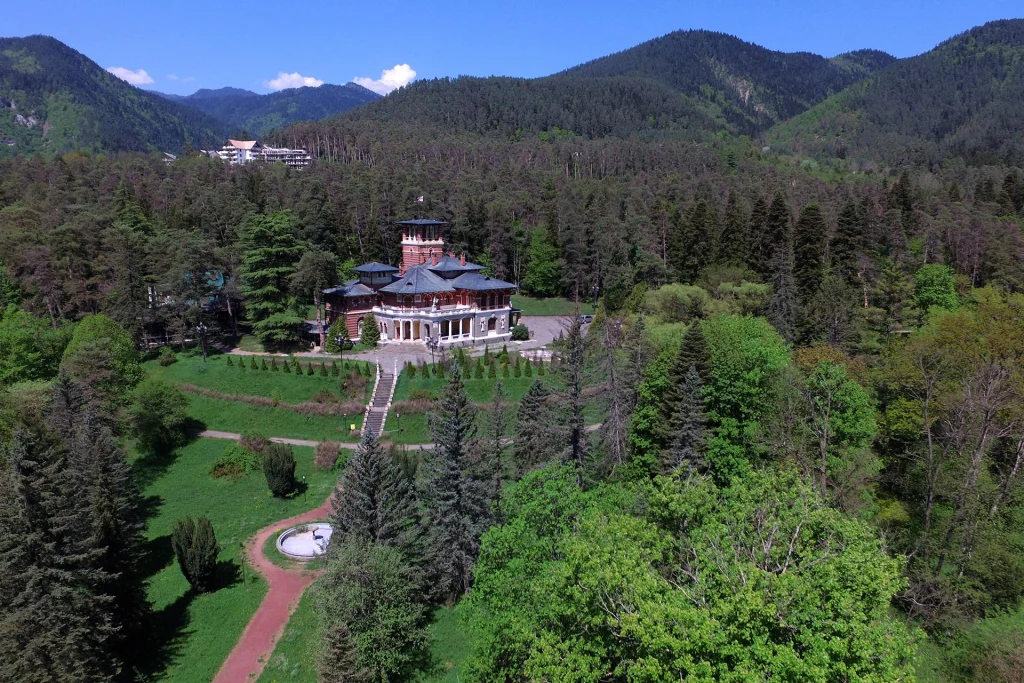 Bagrationi — Aerial view of a historic palace building nestled among forested mountains near the hotel.