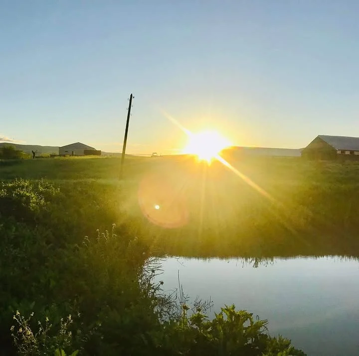 Farmer's  House in Vashlovani — Sunset over a pond with farm buildings in the distance at the property.