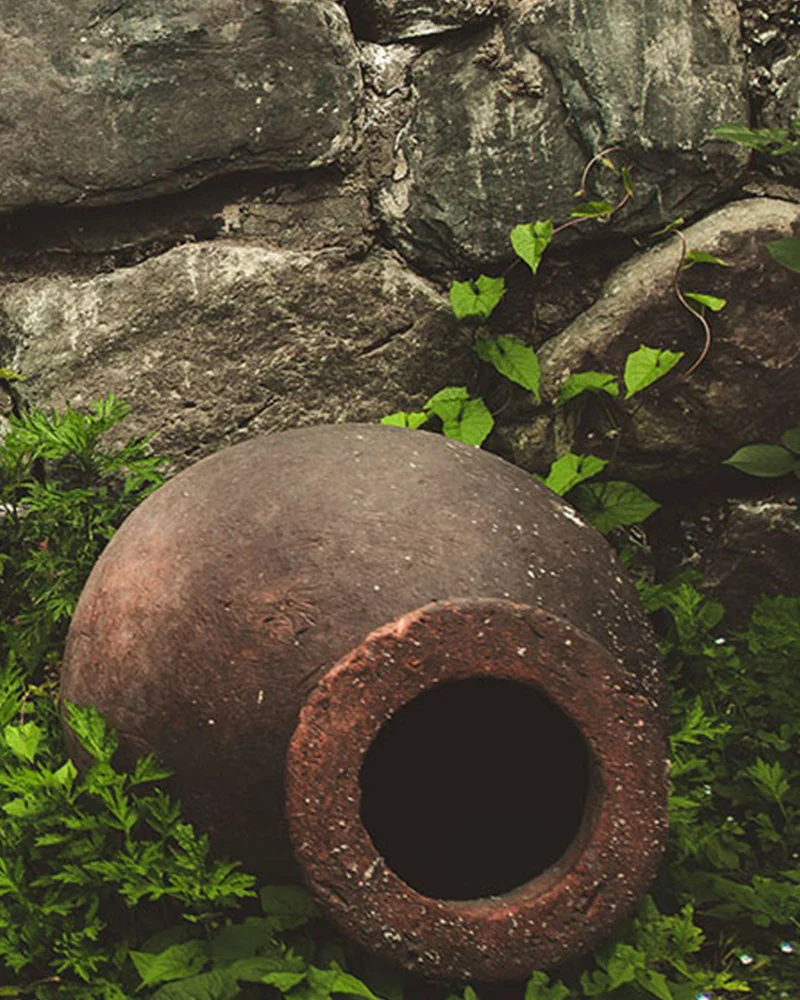 Gotsa Wines — Traditional clay qvevi vessel nestled among stone wall and greenery.