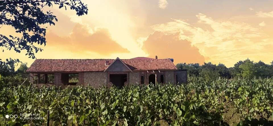 Mirianis Marani — Stone building with tiled roof surrounded by vineyard rows at sunset.
