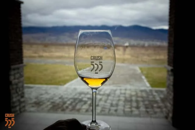Tevza Winery — Wine glass framed by a stone archway overlooking distant mountains and countryside.
