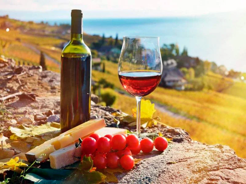 Winery Solomone — Wine bottle and glass with cheese and grapes overlooking a vineyard landscape.