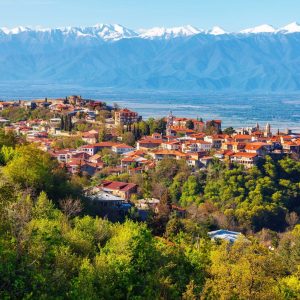 Alaverdi — Vineyard & Cathedral