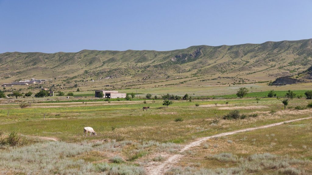 Tezi Winery: A Young Kvevri Cellar in Shida Kartli’s Vineyard Country — Shida Kartli landscape