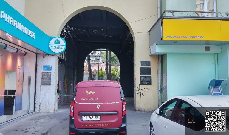Pharmacies, Clinics and Doctors for Tourists in Georgia: A Physician’s Guide