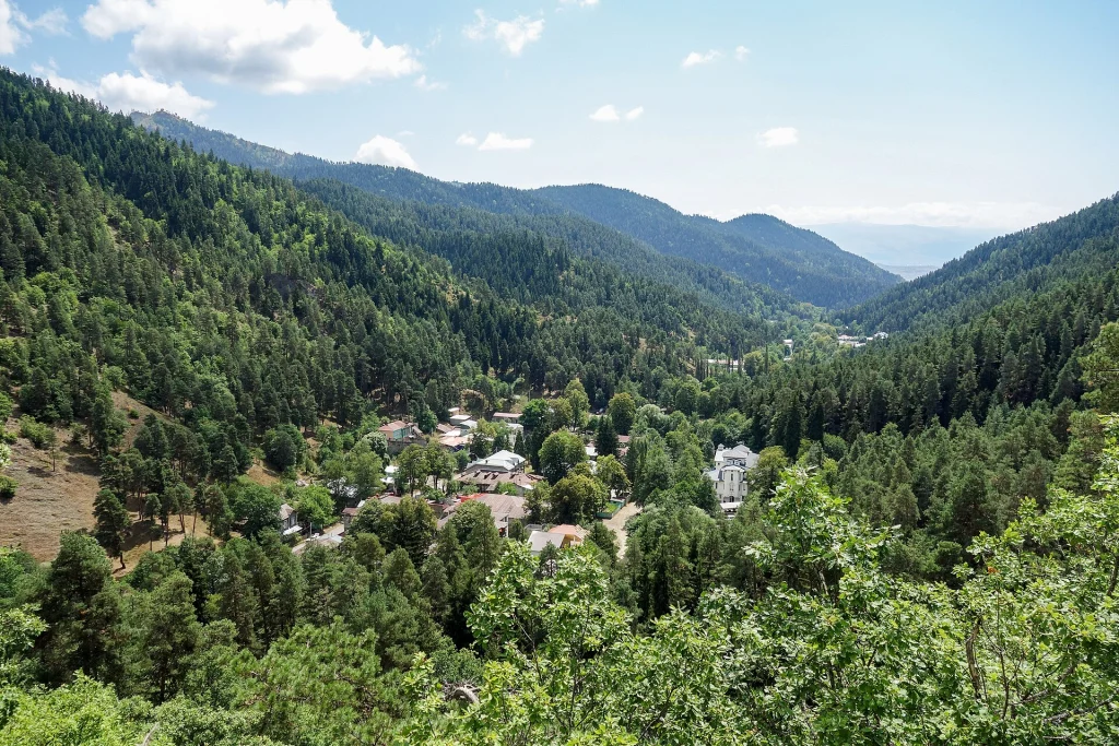 The forested valley around Abastumani, Georgia's historic stargazing resort town.
