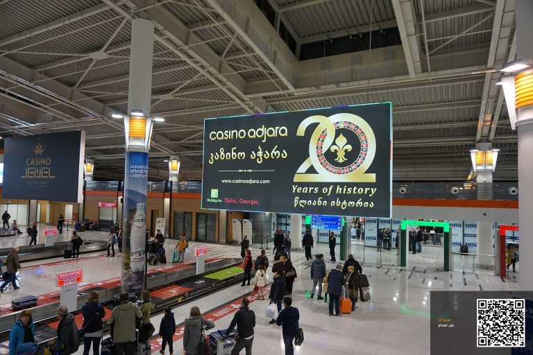 Французских туристов якобы не впустили в Грузию и продержали двое суток в аэропорту