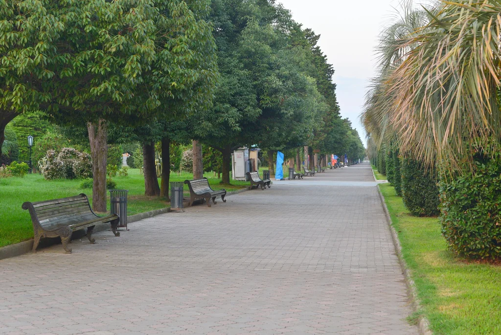 A tree-lined seaside promenade in Batumi, a popular coastal stop for travellers in Georgia.