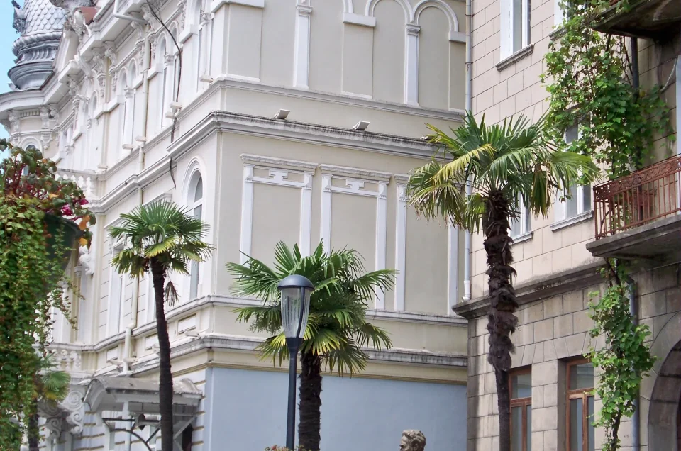 Georgia for travellers from Togo