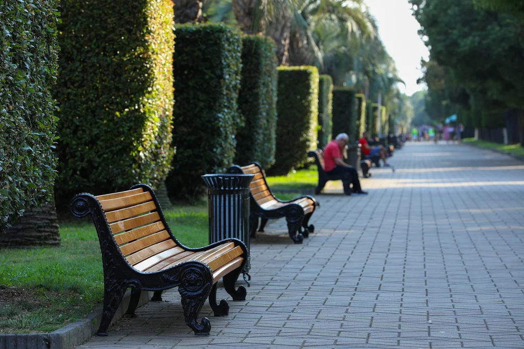 A shaded boulevard in Batumi shows Georgia's relaxed seaside leisure culture.