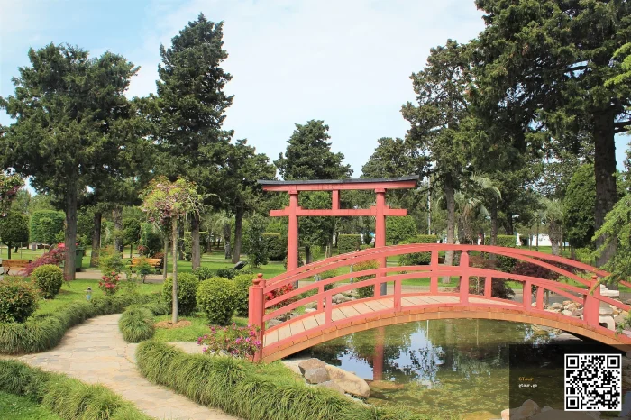 Batumi Half-Day — Old Town, Boulevard and the Botanical Garden