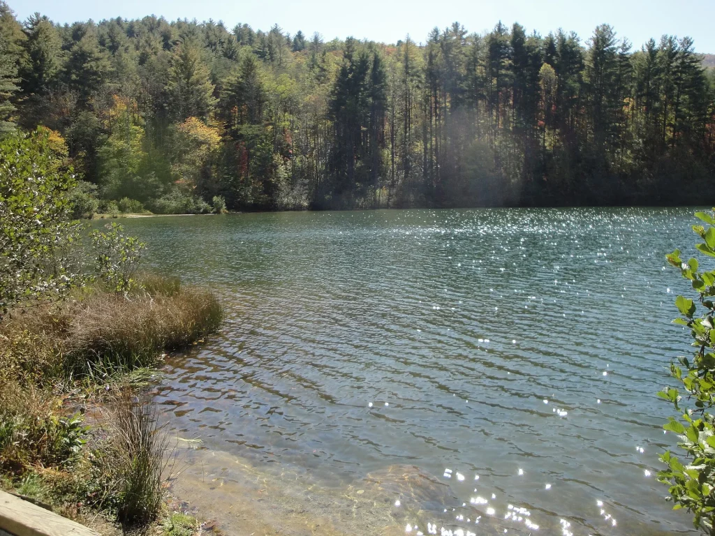 Black Rock Lake Trek — 2 Days in Lagodekhi — G Tour itinerary