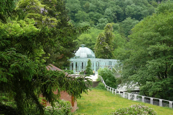 Tbilisi to Borjomi or Bakuriani Transfer