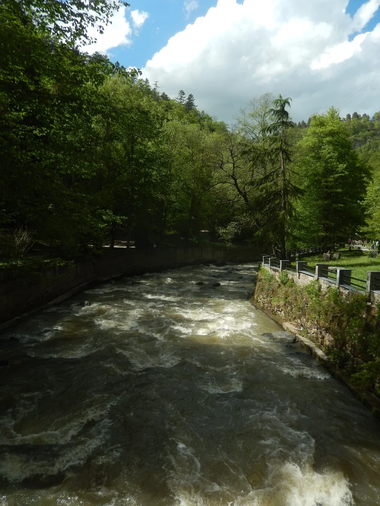 A rushing stream flows through Borjomi Central Park surrounded by dense green forest.