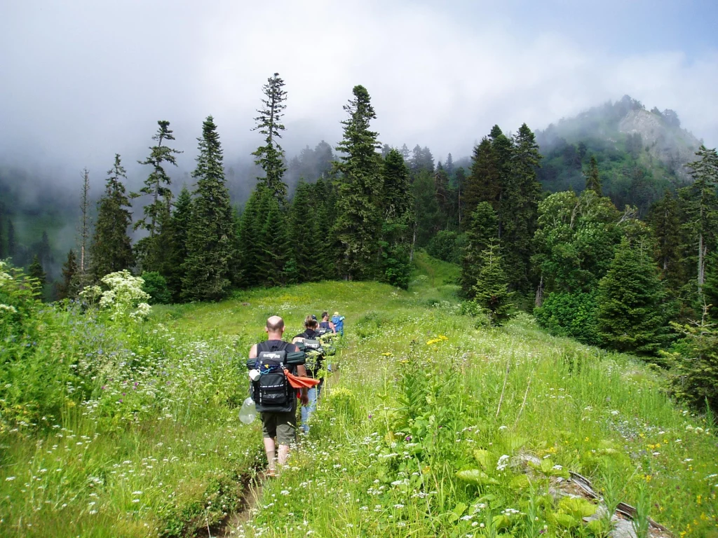 Hikers trek through a flower-filled alpine meadow amid fir and spruce forest in the park.