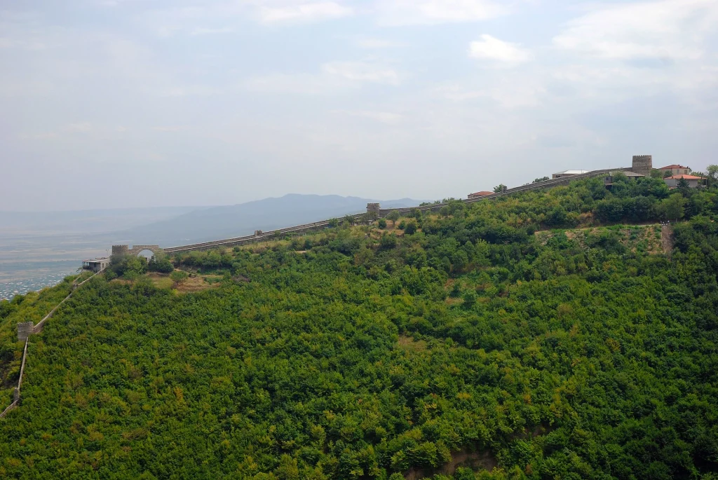 The ancient fortification walls encircle the hilltop town of Sighnaghi amid lush greenery.