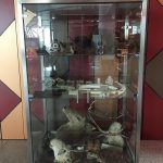 Tbilisi Airport to the City Centre: Bus, Taxi, Train and What to Avoid