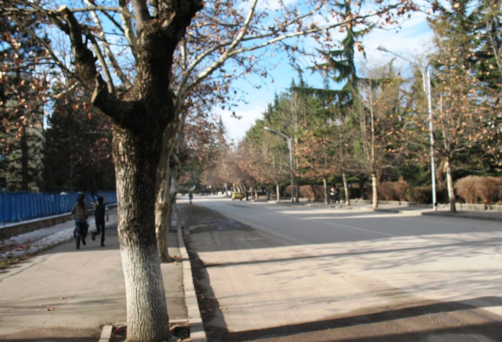 Shota Rustaveli Street through the centre of Dedoplistskaro, the setting for the Eliaoba celebrations.