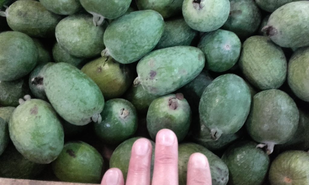 Feijoa for sale at a Kutaisi market, reflecting the region's culinary bounty.