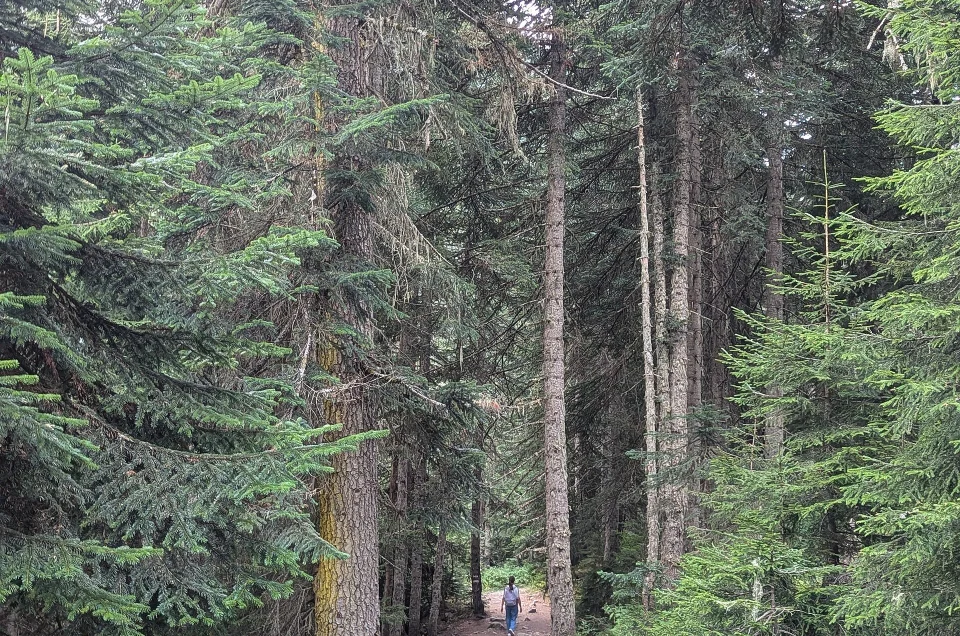 The Transcaucasian Trail in Georgia