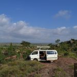 Planning the Great Migration: When the Wildebeest Move, Month by Month