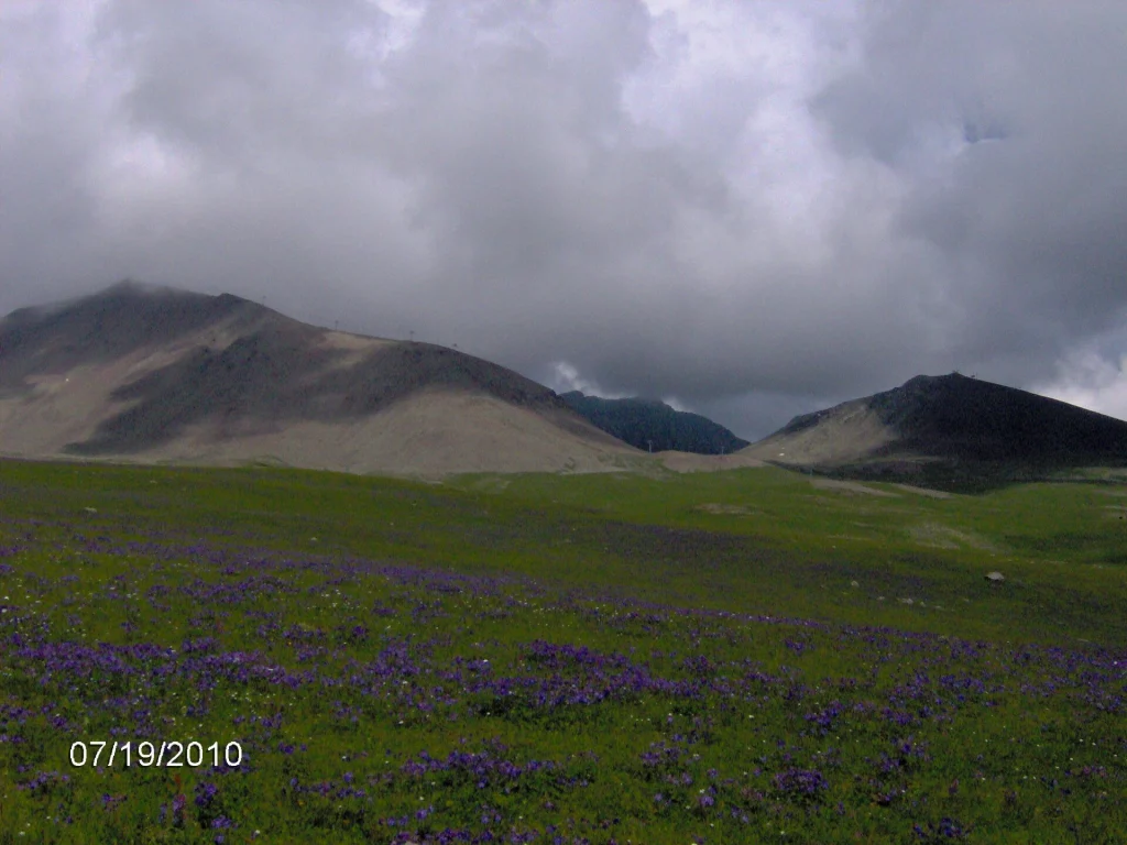 Green summer meadows above Gudauri, where Gulf families escape the Saudi heat in the Georgian highlands.
