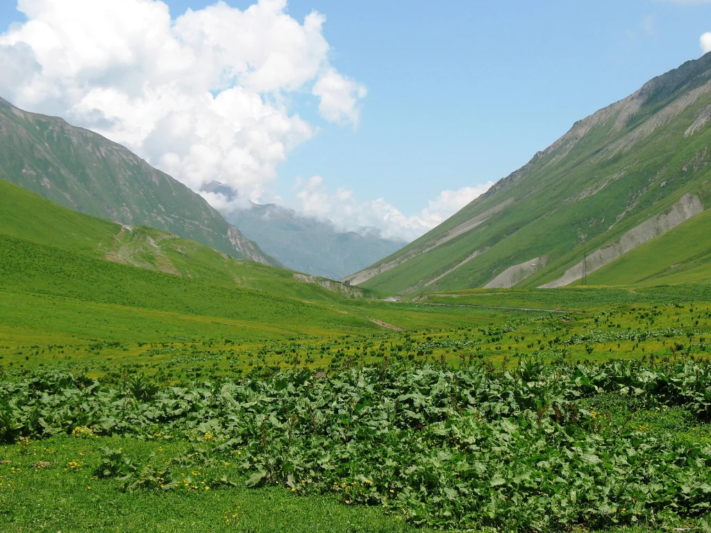 Green alpine valley and winding road lead up toward the Jvari Pass near Gudauri.