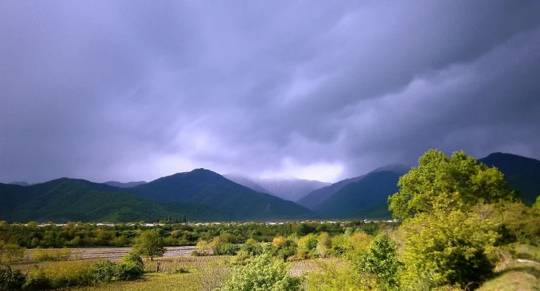 Ilia Lake, Kvareli
