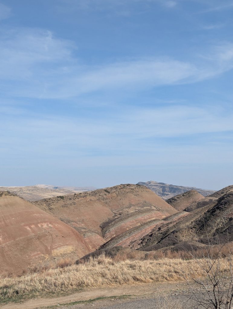 Laelmarani: A Family Cellar Keeping Kakheti’s Wine Tradition Alive — Kakheti landscape