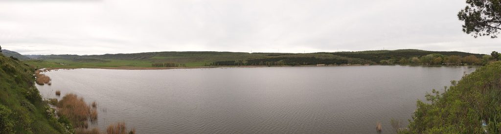 Panoramic view of Lisi Lake, the area surrounding the Tbilisi Open Air festival site.