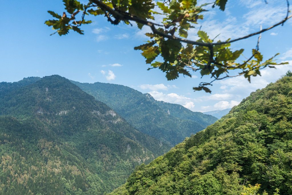 Lush landscape of Machakhela National Park, the gorge hosting the Machakhloba festival.