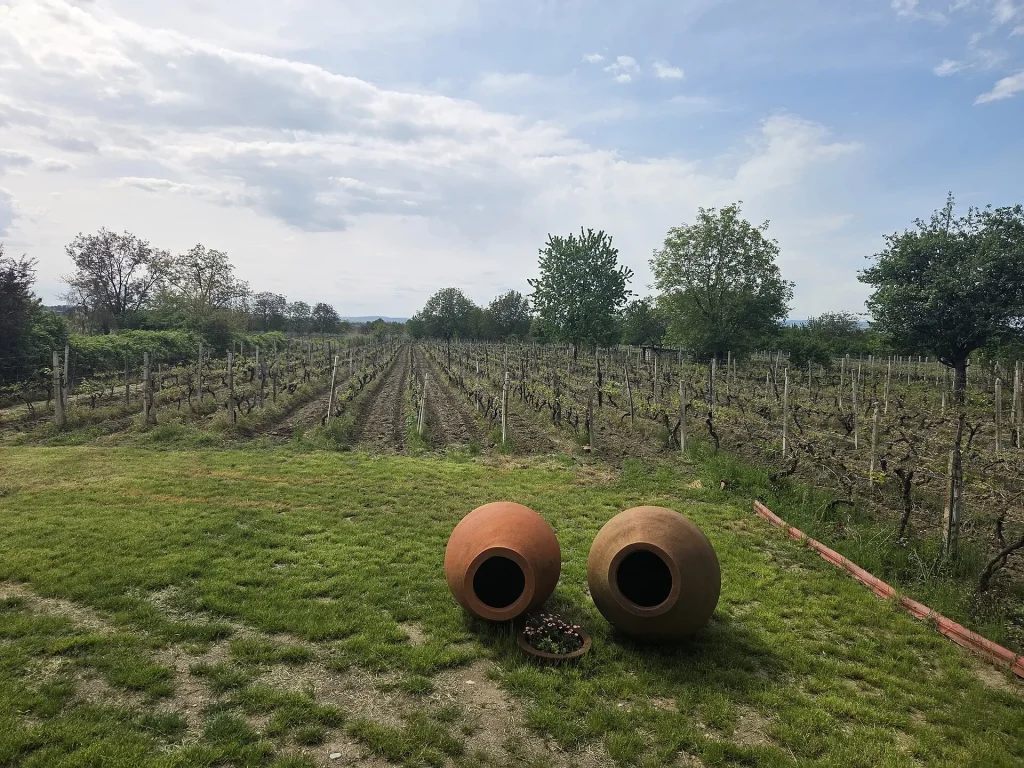 Kakheti Farm-to-Table Day — Bread, Cheese, Mtsvadi and a Cellar — G Tour itinerary