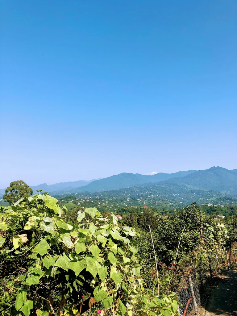 View of the Mtirala Mountain Range in Adjara, Georgia, from Tsikhisdziri village.