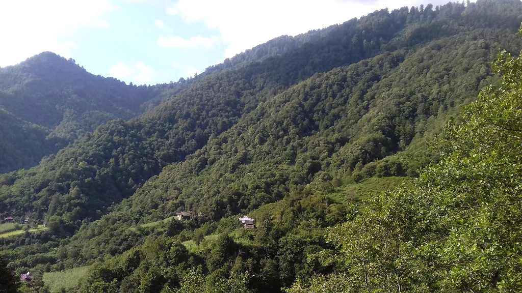 Mtirala National Park landscape in Adjara, Georgia.