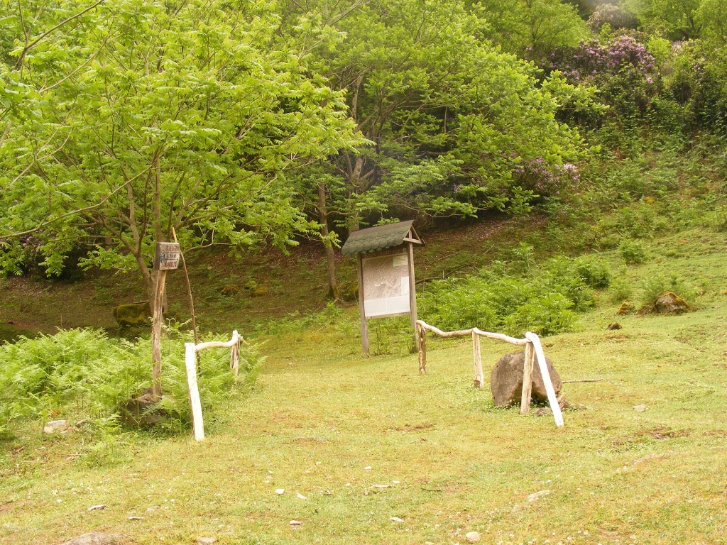 Main walking route through Mtirala National Park, Georgia.