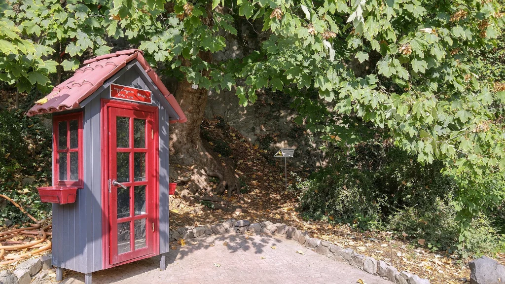 A quiet corner of Tbilisi's Botanical Garden, a highlight for travellers exploring the capital.