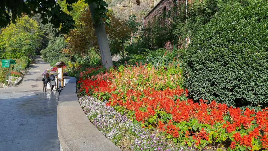 Colourful flowerbeds along a walkway in Tbilisi's National Botanical Garden, a popular city escape.