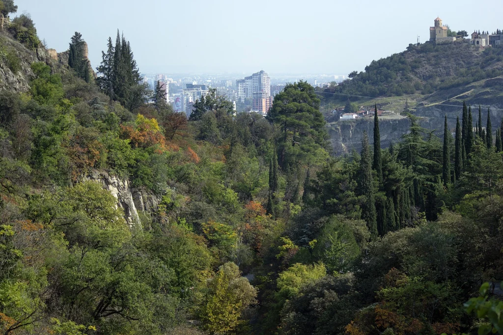 Tbilisi's hilly cityscape and surrounding greenery as seen from the Botanical Garden area.