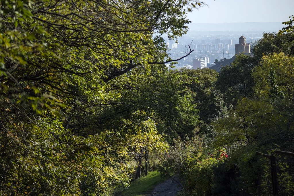 A path through Tbilisi's National Botanical Garden with the city skyline beyond.