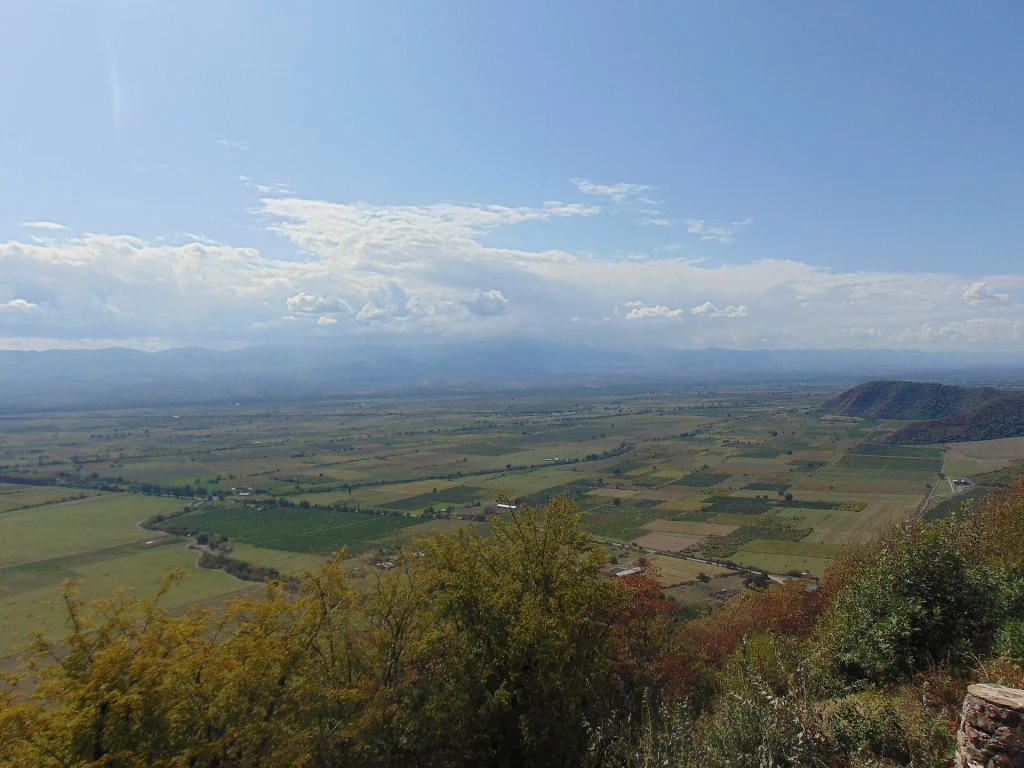 Panoramic view of the Alazani Valley from the Nekresi hilltop, typical of the day trip's landscapes.
