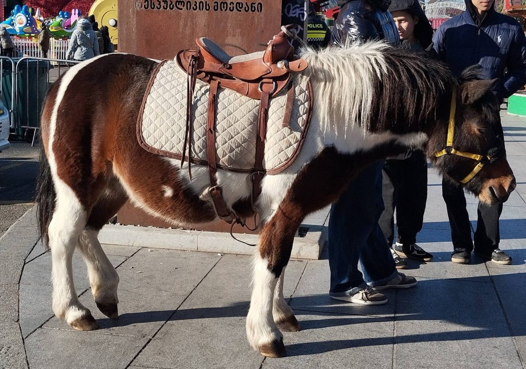 A pony ride entertains visitors at Tbilisi's New Year Village festival on First Republic Square.