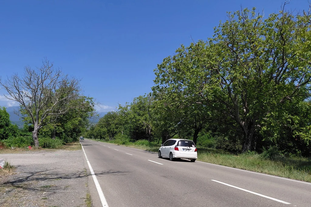 A car travels along a regional highway near the Alazani Valley, showing typical road conditions in Georgia.