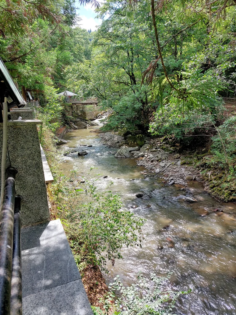 The clear Borjomula River winds through lush greenery in Borjomi Central Park.