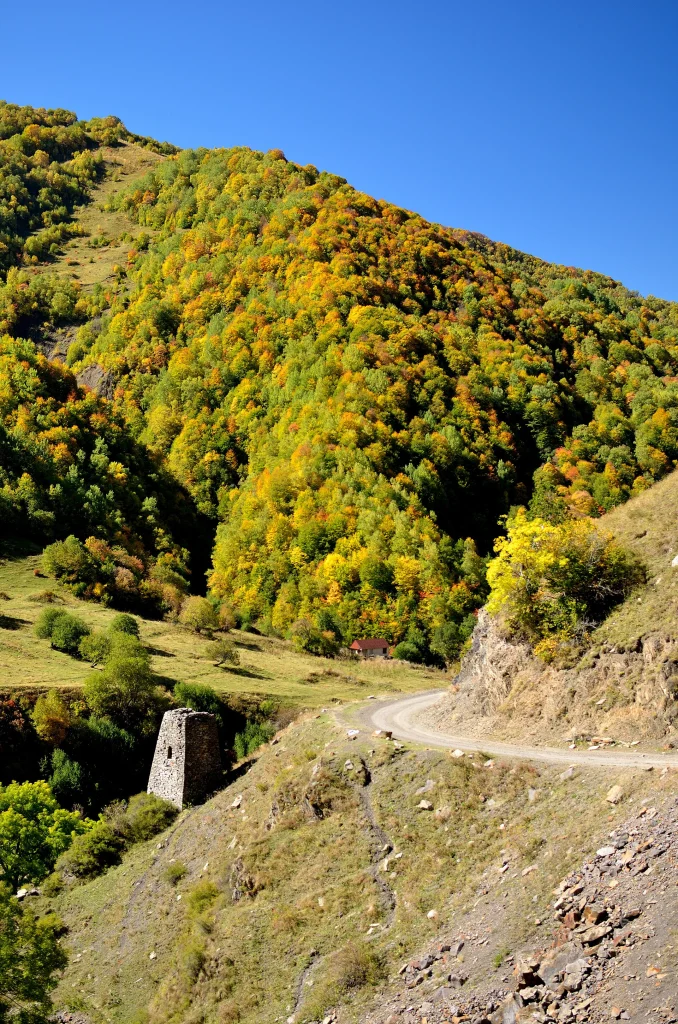 A lone stone watchtower beside a winding mountain road through autumn forest near Shatili.