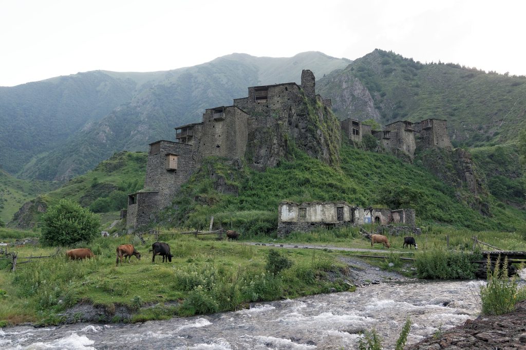 Shatili's stone towers and livestock by the river, the highland setting of the summer feast.