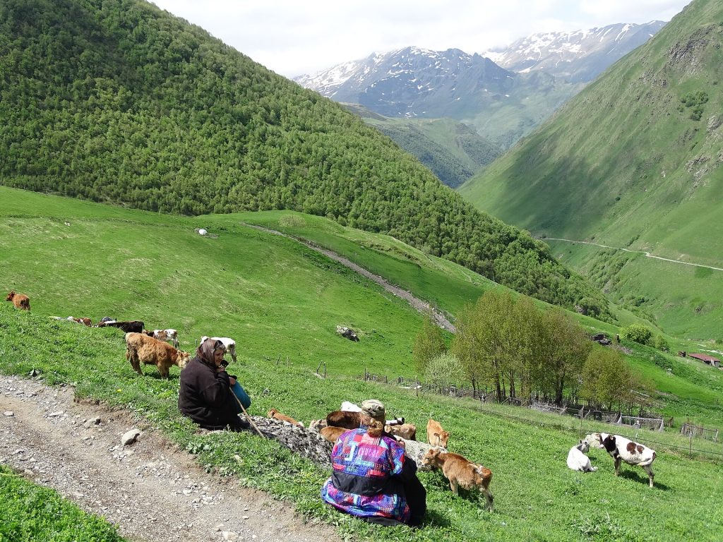 Georgian shepherds resting with their flock in the mountains, evoking the pastoral life celebrated at Zekaroba.